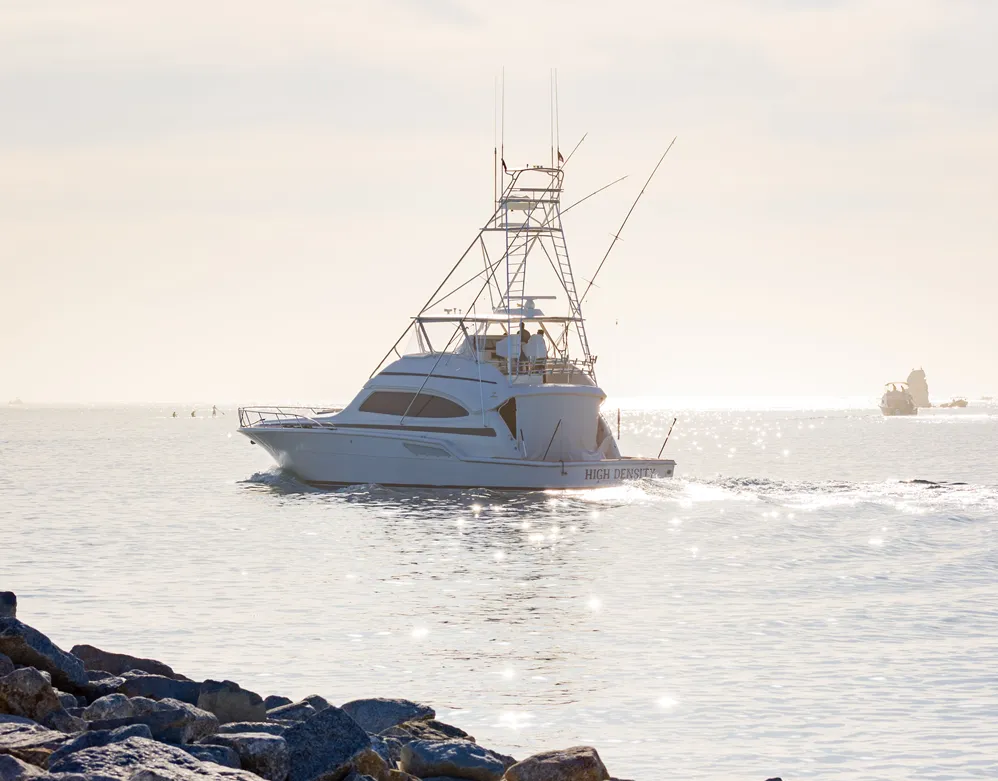 Cape May boat on the horizon